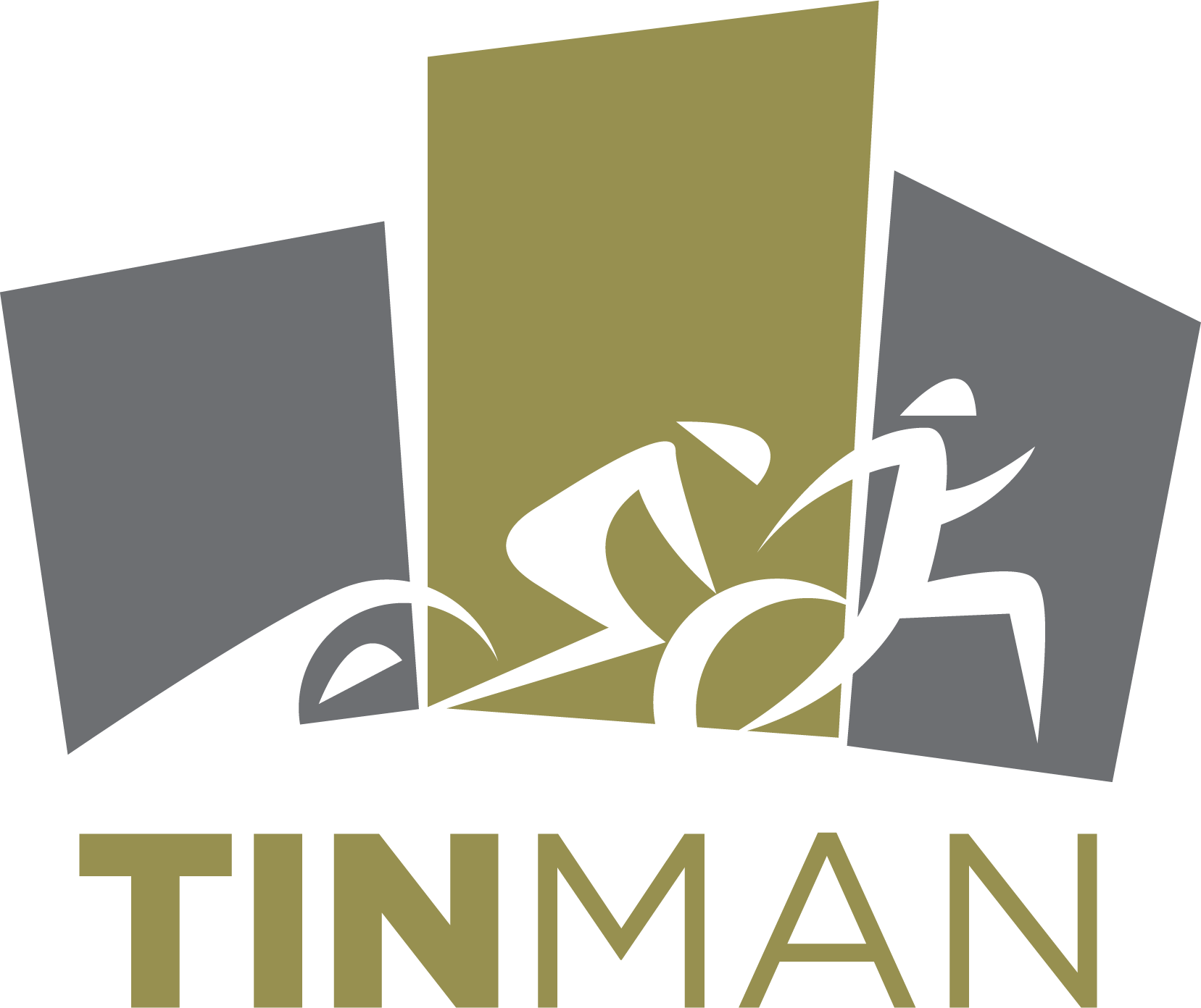2020 TINMAN-UIS
