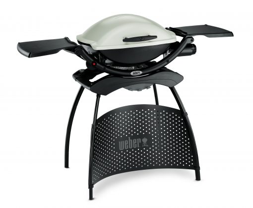 Weber Q2000 Gas Grill & Stand